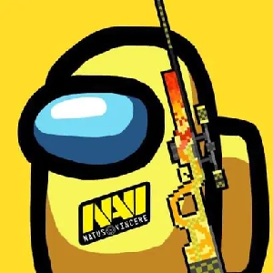 STYKO 揭示了他在 CS 中的年收入 2024 。